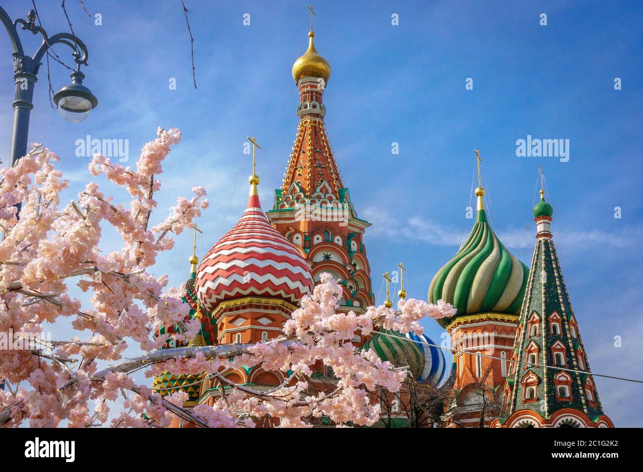 Schöne Aussicht auf St. Basil's Cathedral. Die Blüte der Sakura in Moskau. Frühjahrssaison. Russland, der Kreml Moskau Frühling Stockfoto