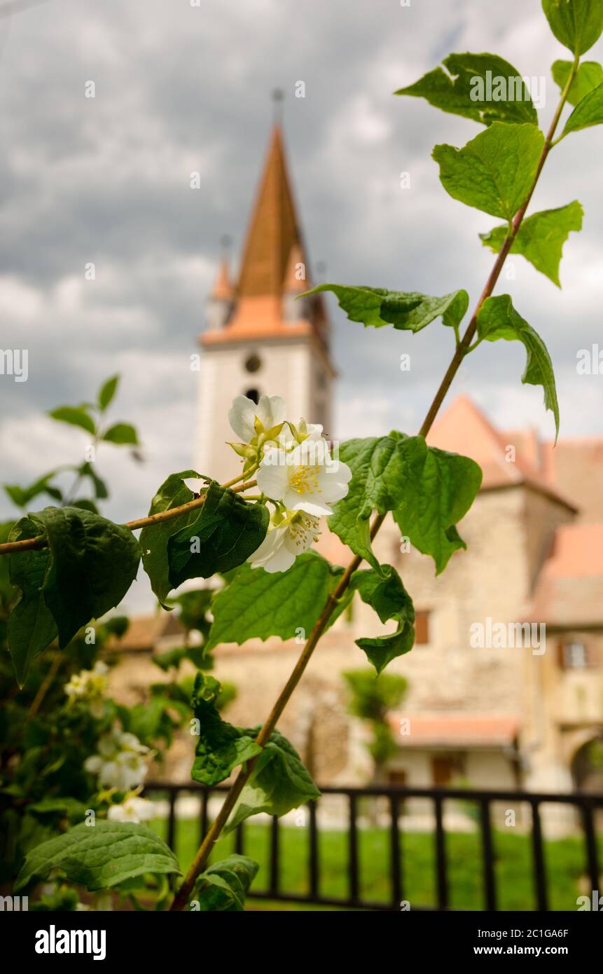 Dorffotografie Stockfoto