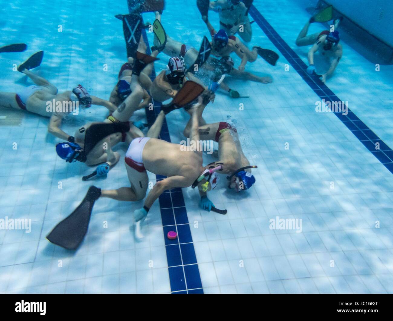 Kanadische Männer Athleten spielen unter Wasser bei einem Spiel des Unterwasser-Hockey bei der CMAS Weltmeisterschaft in Quebec City Stockfoto