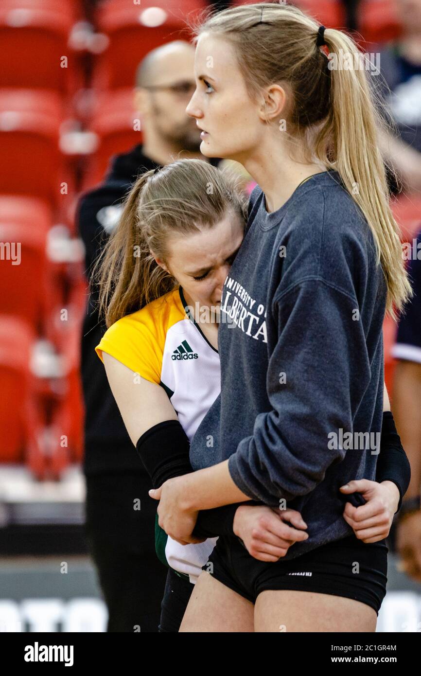 Volleyball Frau Spieler Alberta Golden Bears - libero, Niederlage, weinen Stockfoto