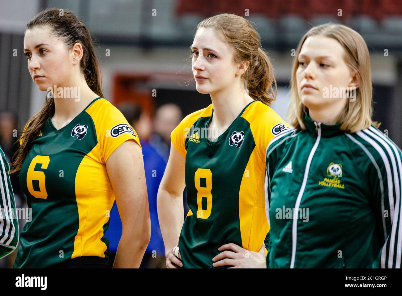 Volleyball Frau Spieler Alberta Golden Bears - Team, Niederlage, traurig Stockfoto