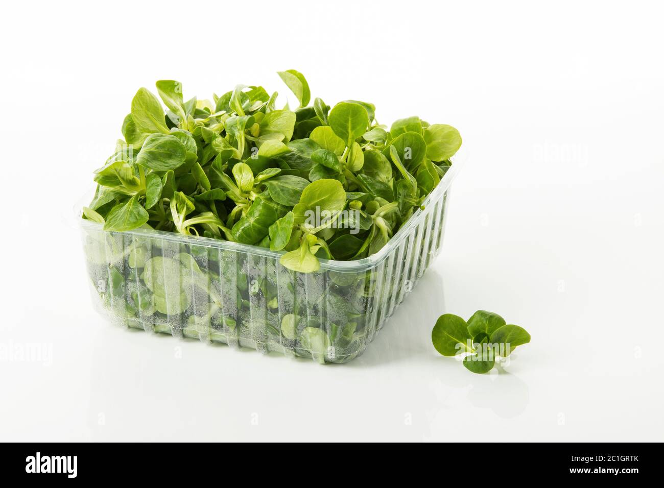 frischer Salat Stockfoto