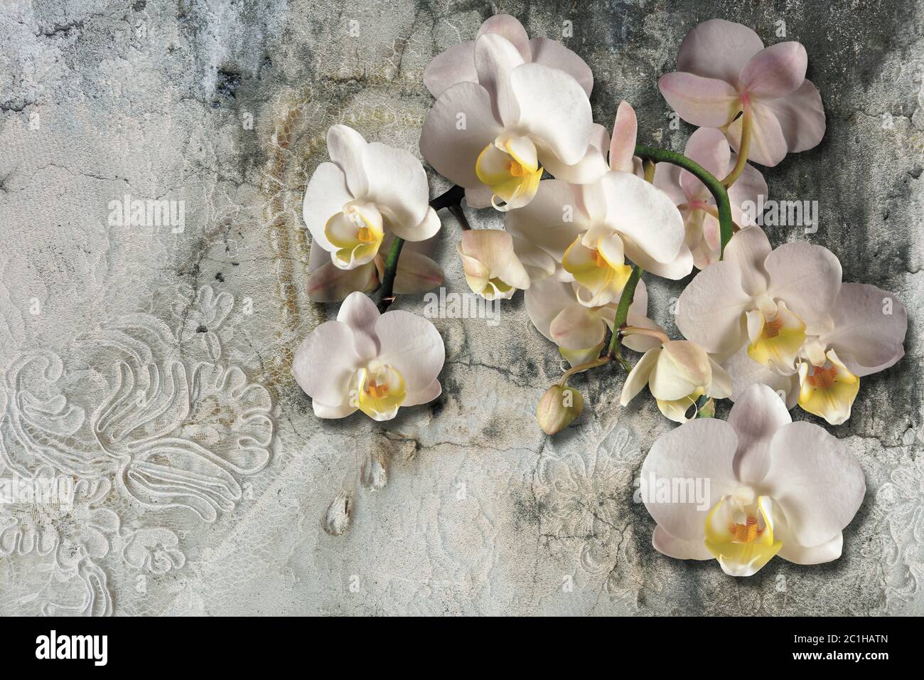 3d Tapete, Blumenstrauß auf Spitze und Betonwand strukturiert. Wandgemälde-Effekt. Stockfoto