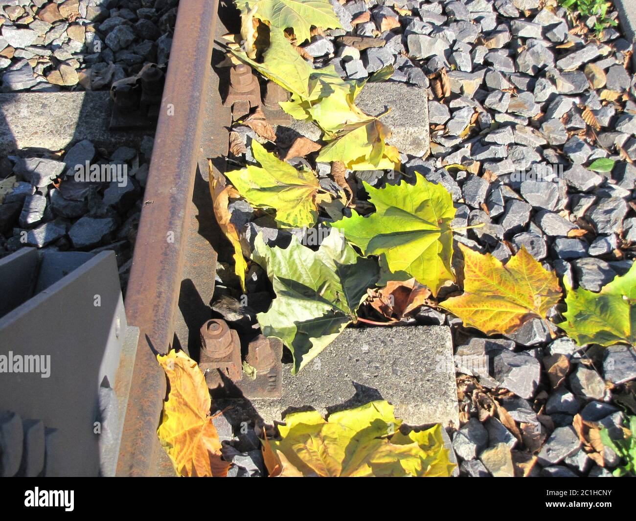 Farbige Blätter an Schienen im Herbst von Darfeld bei Radbahn MÃ¼nsterland Stockfoto
