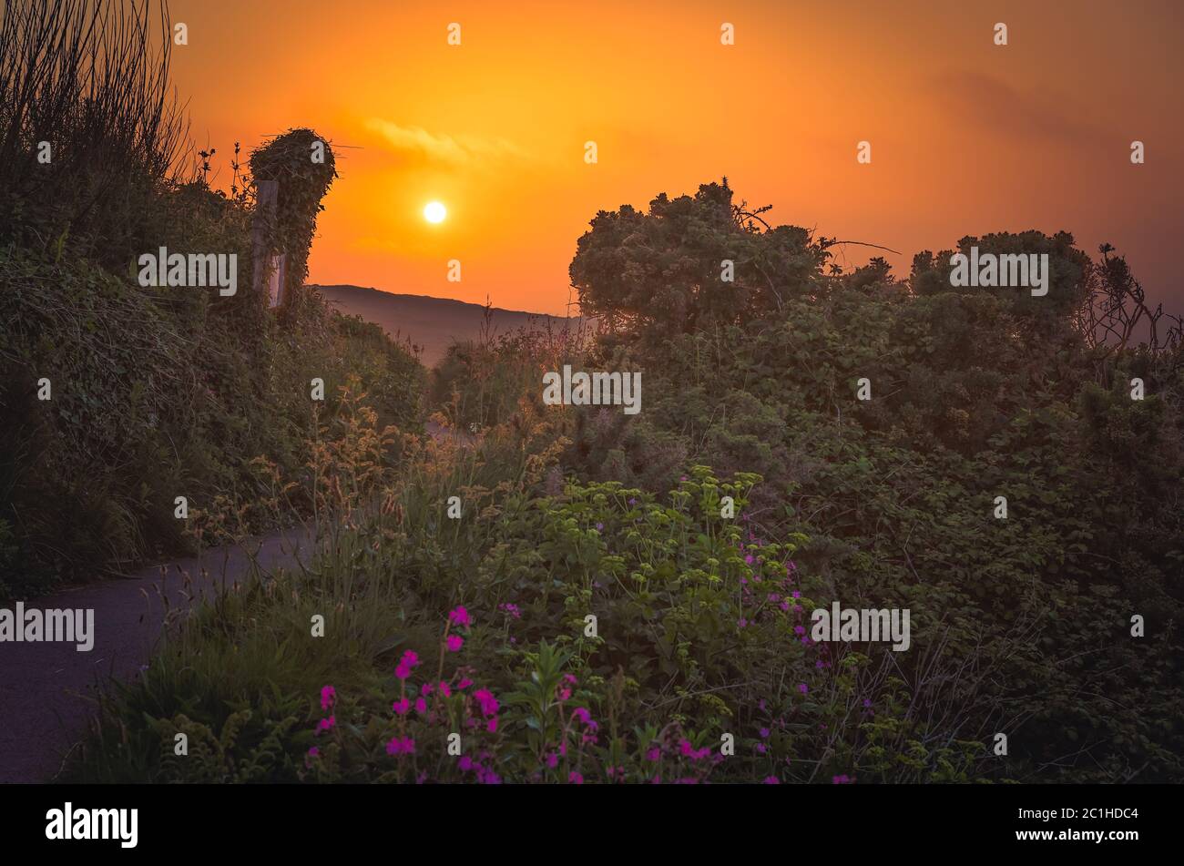 Wanderweg entlang der kornischen Küste bei Sonnenuntergang Stockfoto