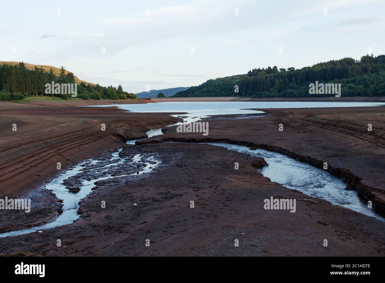 Llwyn on Reservoir, Merthyr Tydfil, South Wales, Großbritannien. 15. Juni 2020. UK Wetter: Ein feuchter Abend an diesem stark dezimierten Stausee heute. Gewitter werden für die kommenden Tage prognostiziert. Quelle: Andrew Bartlett/Alamy Live News Stockfoto