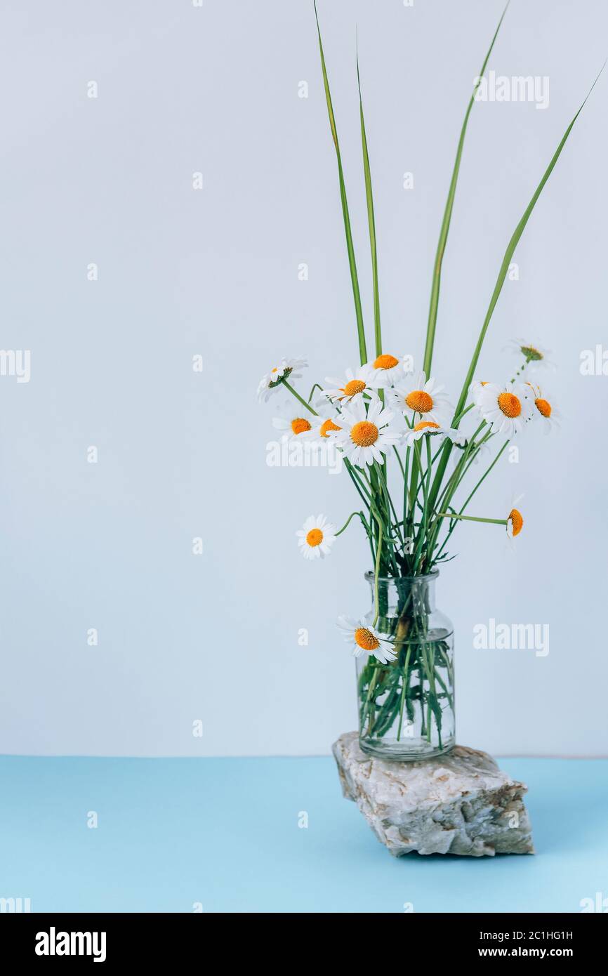 Bouquette von Kamillenblumen in Glasvase auf Naturstein. Selektiver Fokus, Kopierbereich. Stockfoto