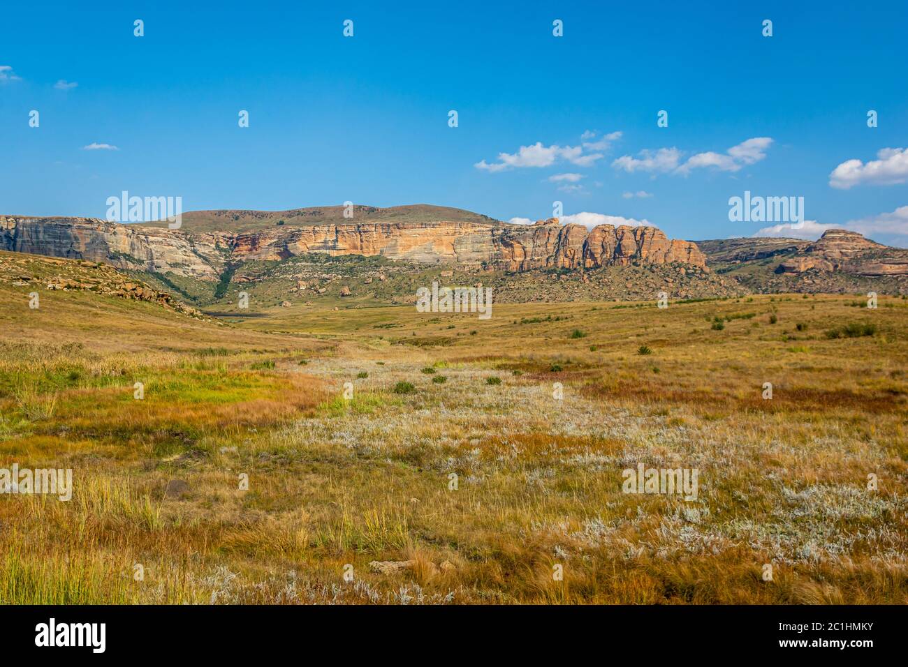 Bunte Grasfelder im Golden Gate Nature Reserve Stockfoto