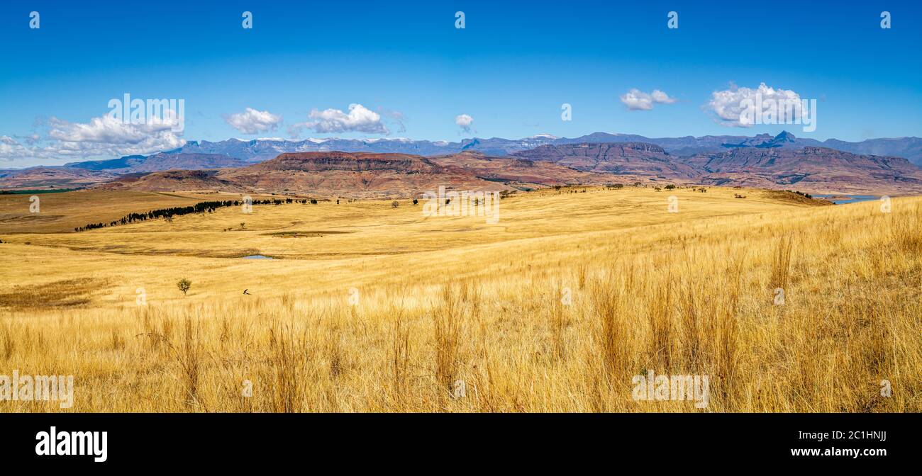 Winterpanorama der Ausläufer des Drakensbergs Stockfoto
