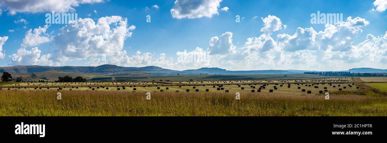 Balesfeld-Panorama im Ostfreistaat Stockfoto