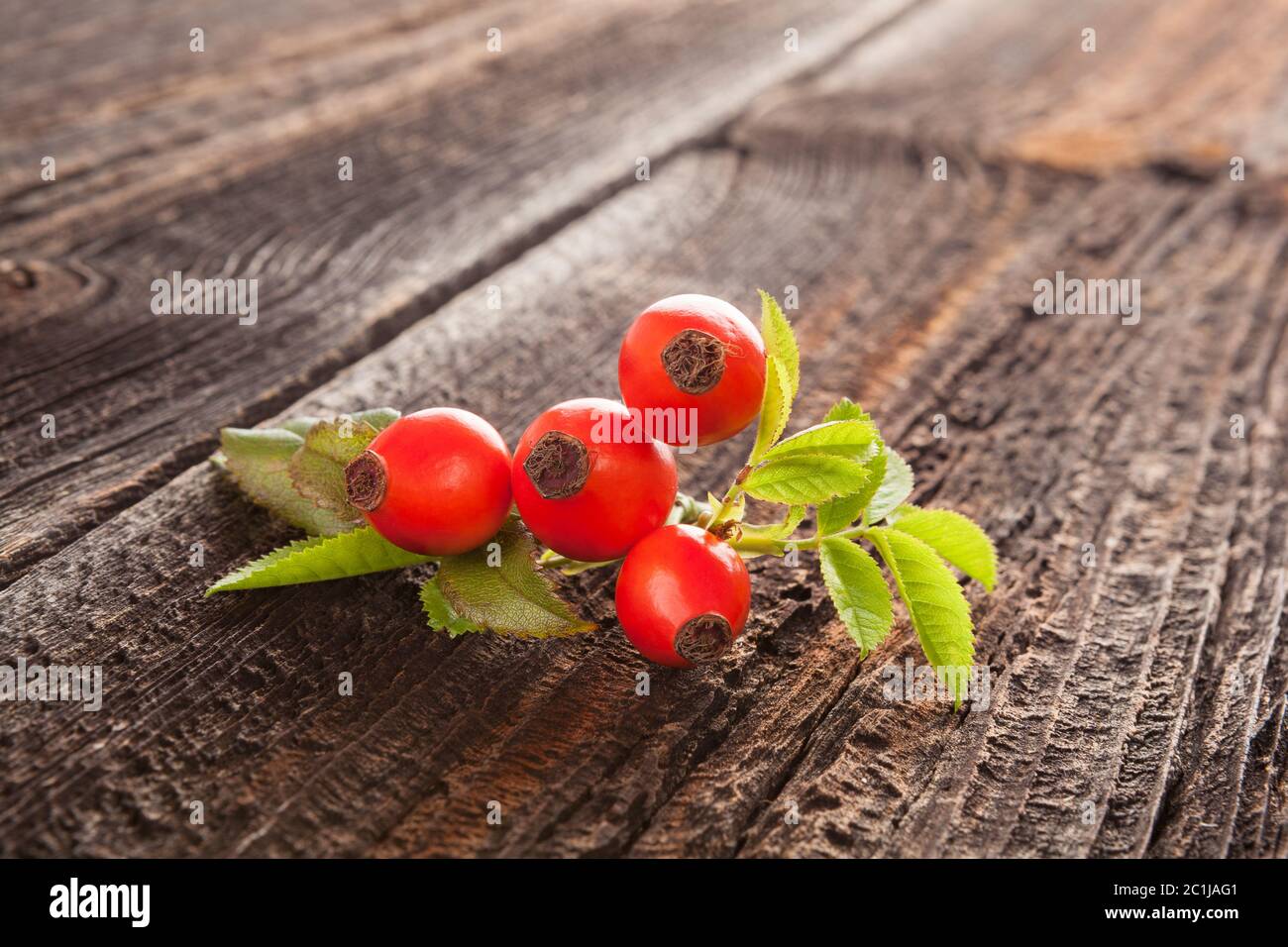 Frische Hagebutten auf Holzhintergrund. Stockfoto