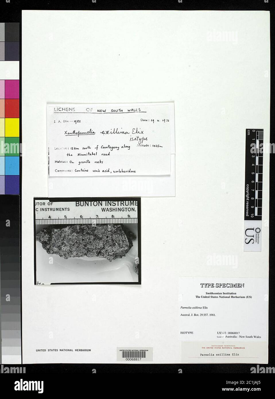 Parmelia exillima Elix Parmelia exillima Elix. Stockfoto