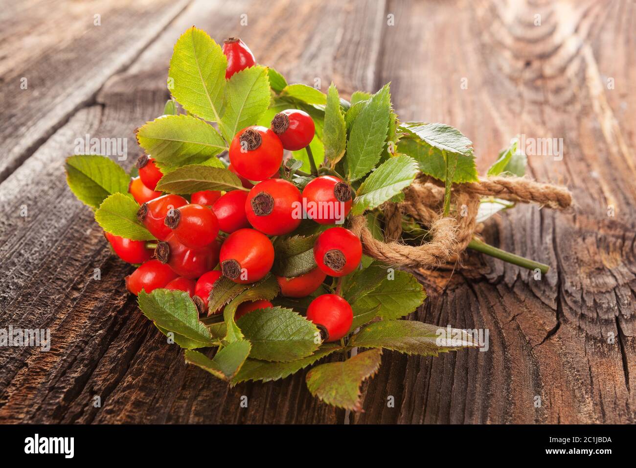 Frische Hagebutten auf Holzhintergrund. Stockfoto