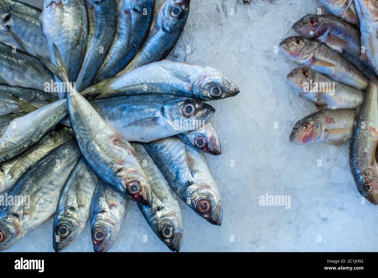 Meeresfrüchte auf Eis am Fischmarkt Stockfoto