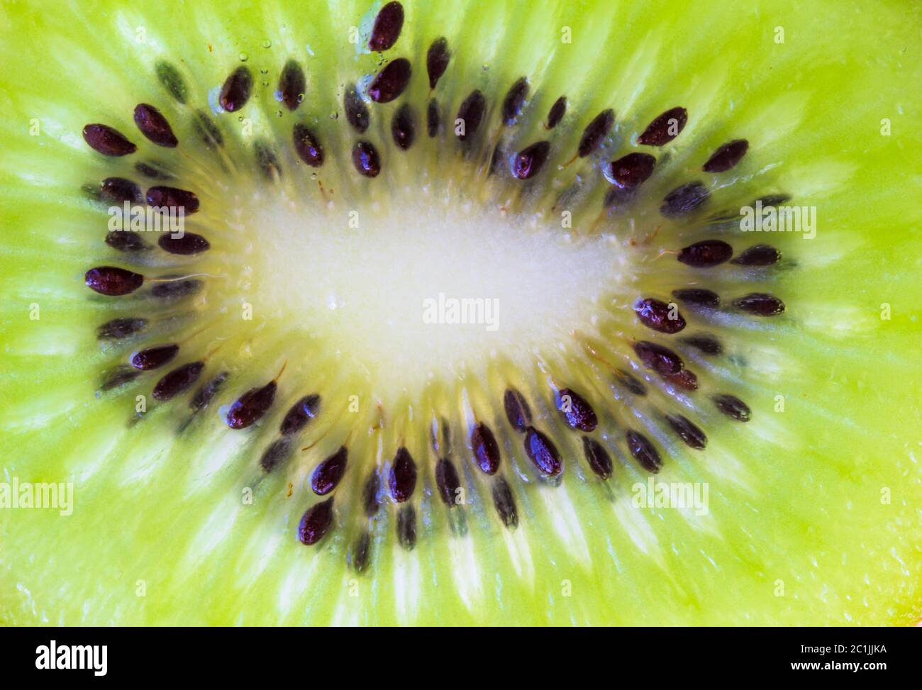 Kiwi in Scheiben schneiden Hintergrund - Nahaufnahme Makro Foto mit selektiven Fokus Stockfoto