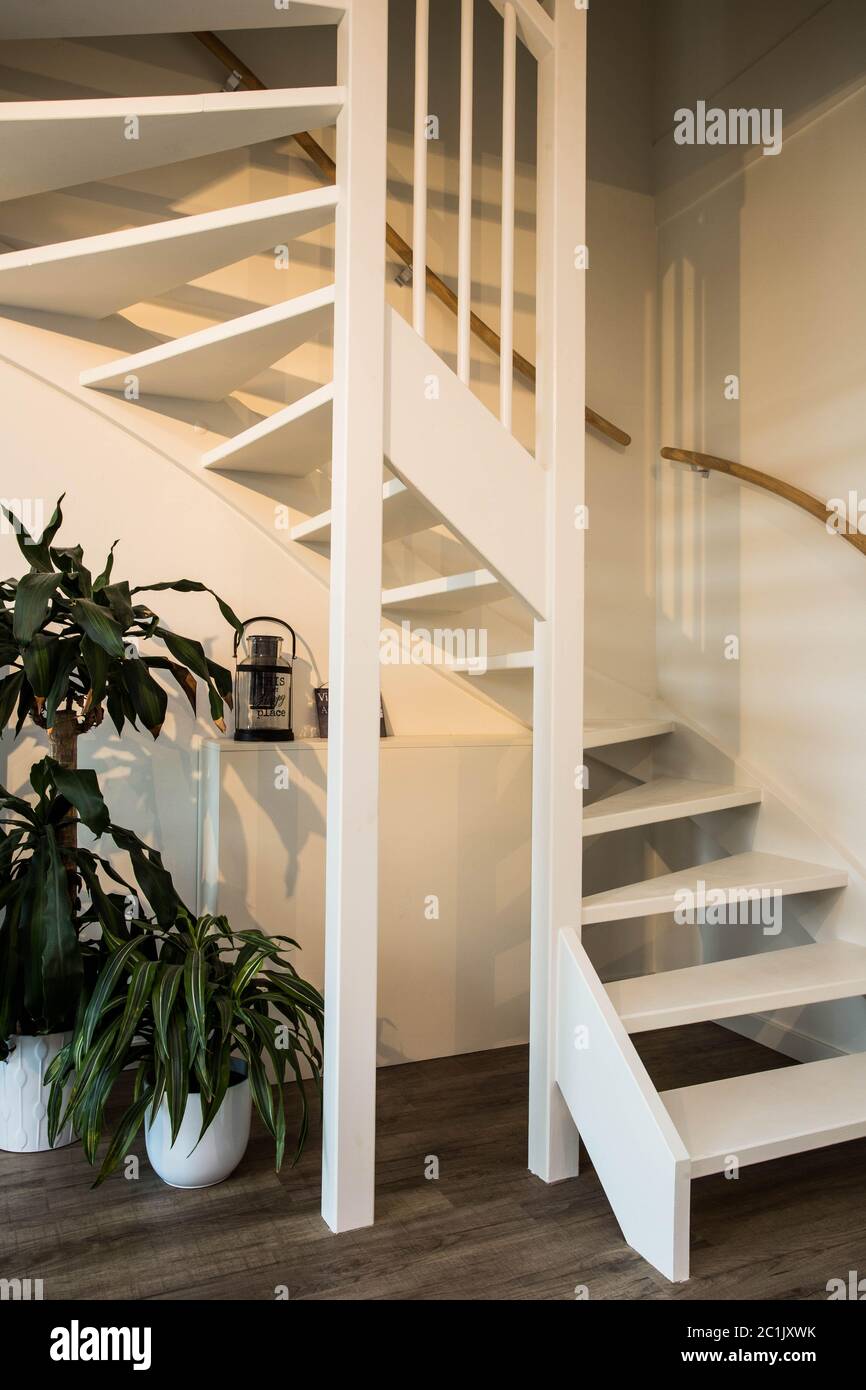 Weißen Treppe auf Holz und weißen Wand mit grünen Pflanzen modernes Design Stockfoto