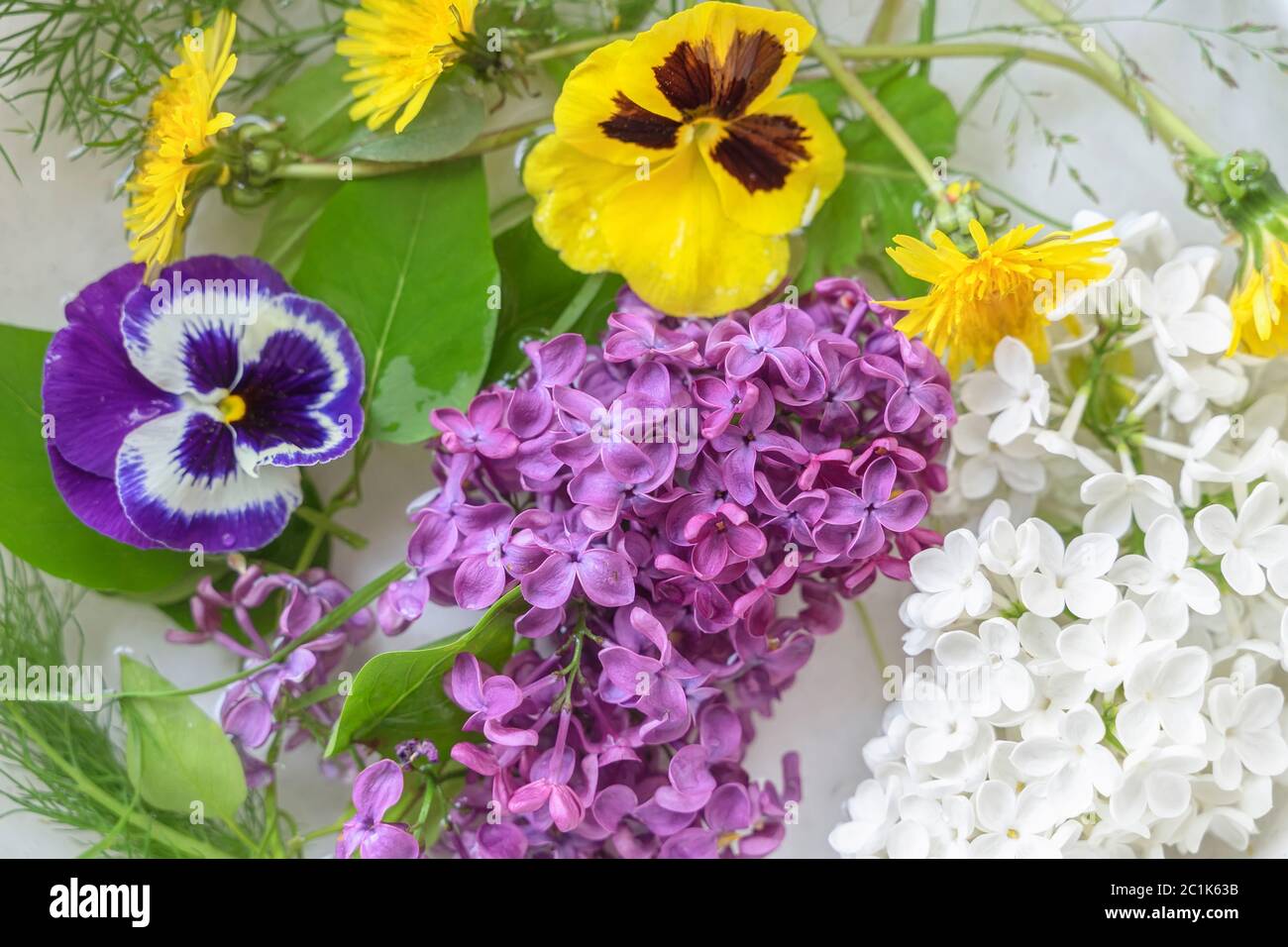 Blumen hell bunten Hintergrund, verschiedene Arten von Flieder, Löwenzahn, bunte Veilchen. Stockfoto