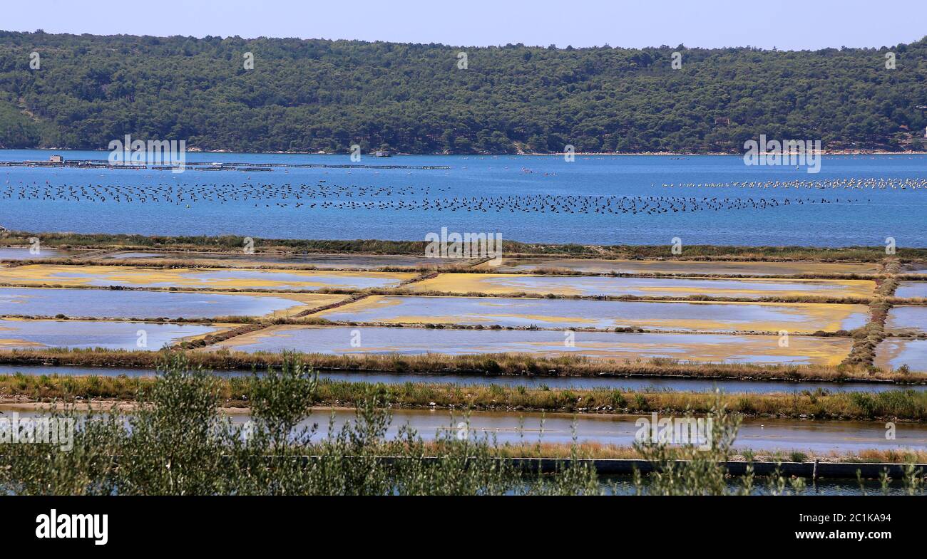 Verlassene meerwassersalinen in der Nähe von portoroz in slowenien Stockfoto