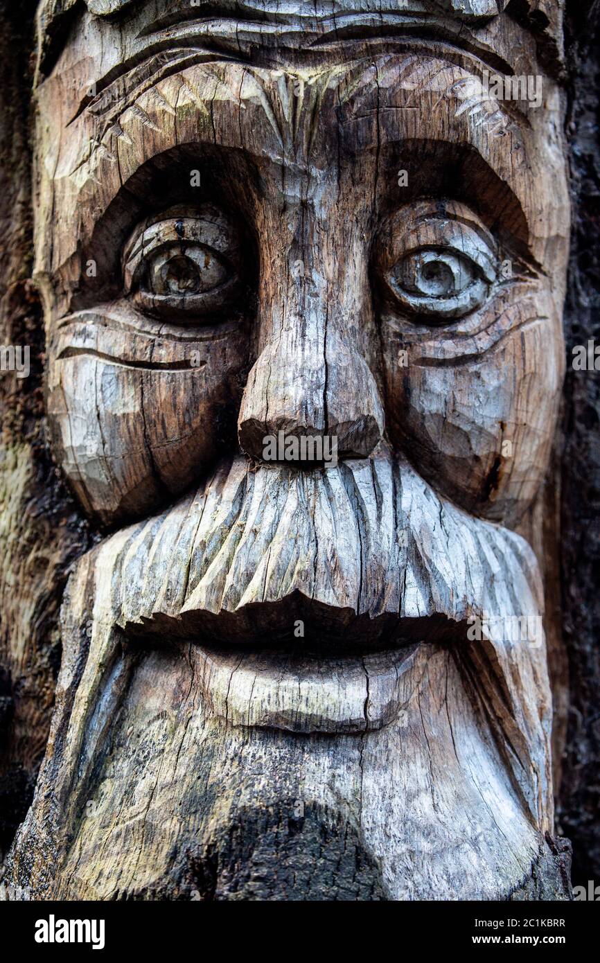 Geschnitzter Kopf aus Holz auf einem Baumstumpf Stockfoto