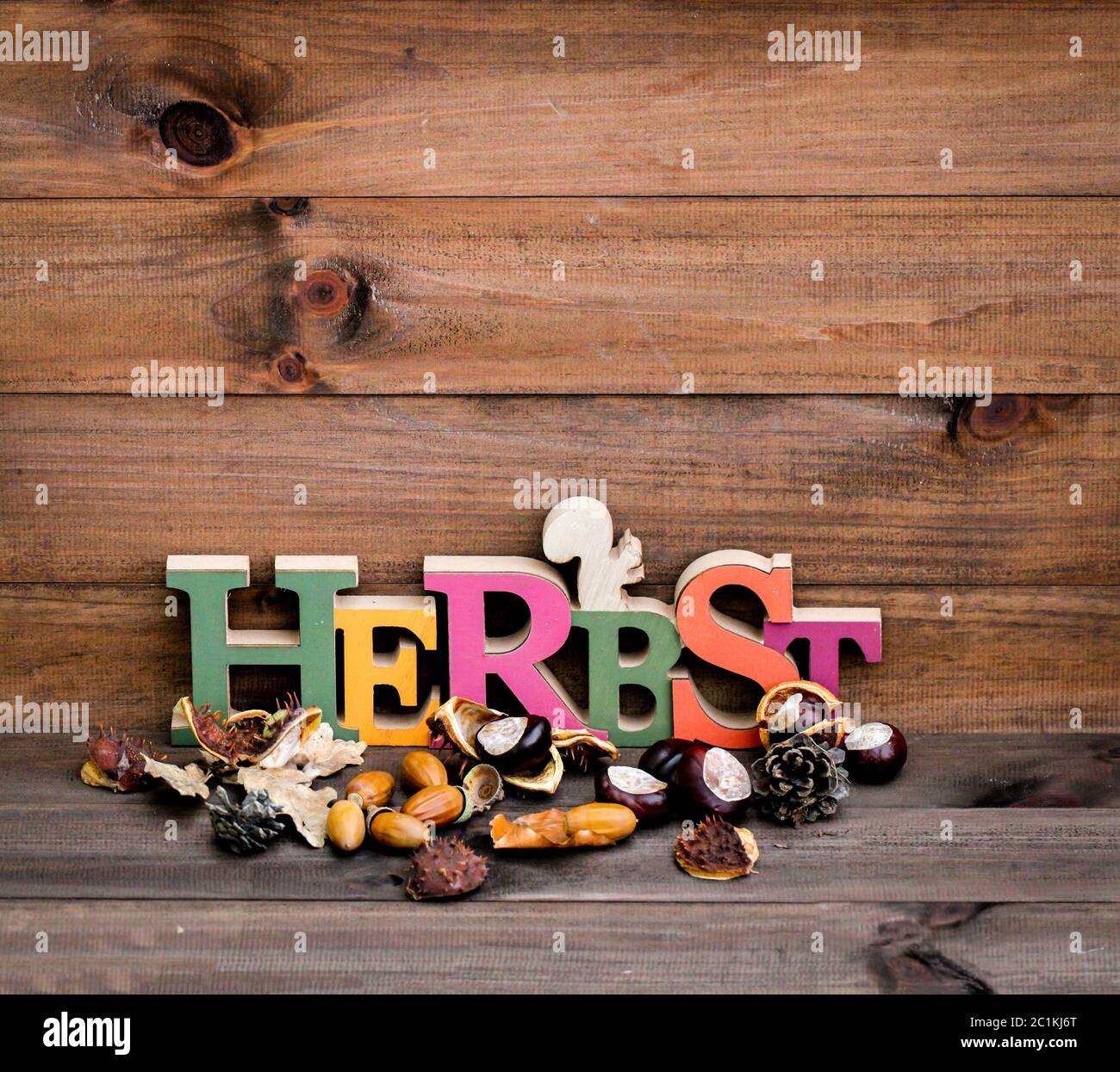 Herbst Dekoration Stockfoto Herbst Dekoration Stockfoto