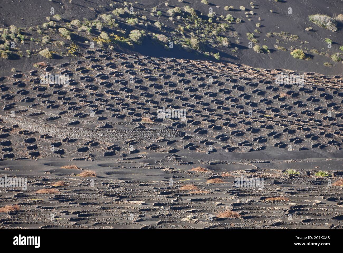 Lanzarote Stockfoto
