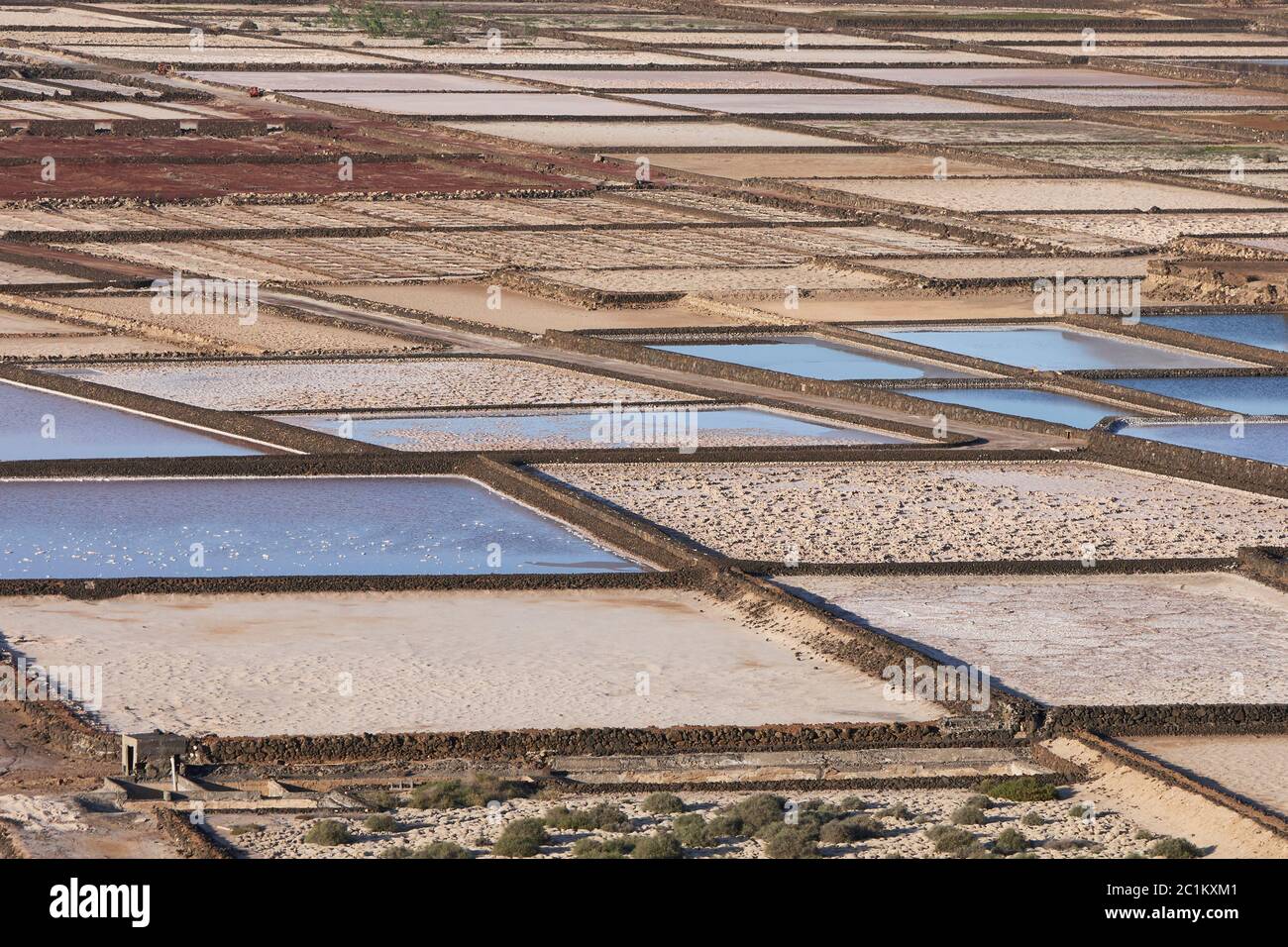 Lanzarote Stockfoto