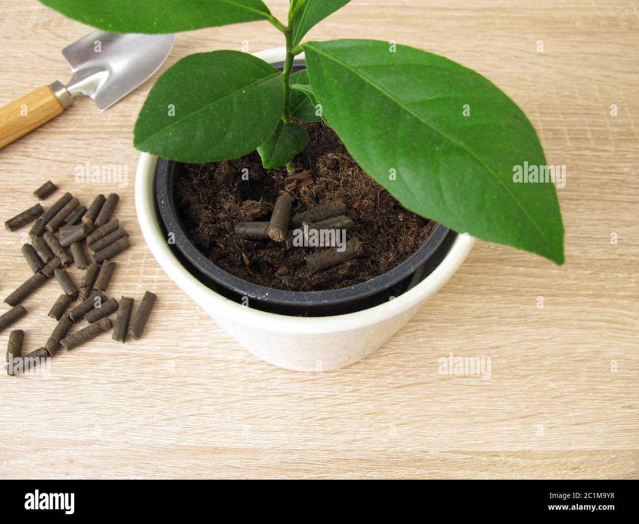 PferdemistPellets zum Düngen Stockfotografie Alamy