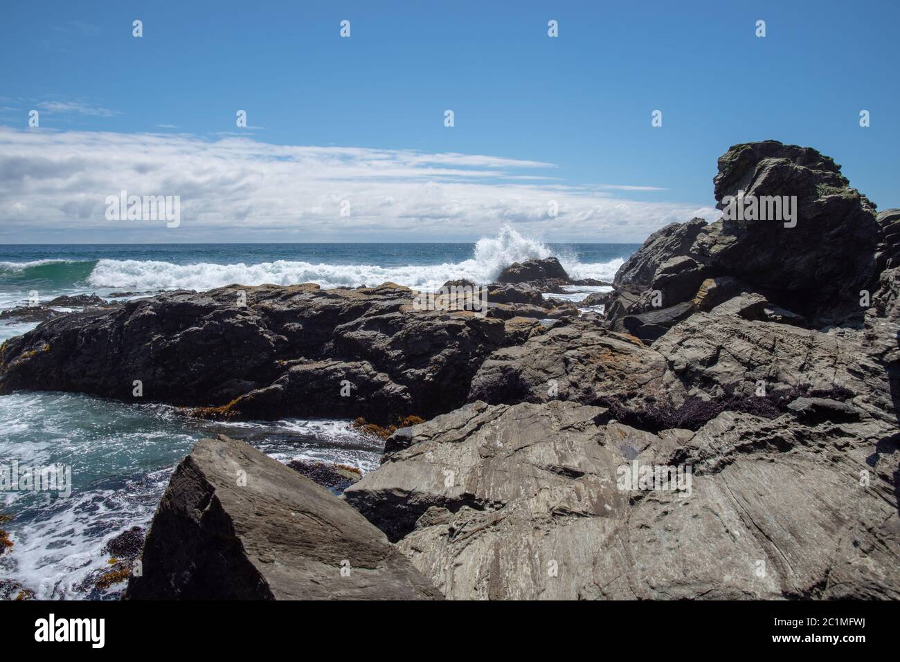 Felsige Küste in chile Stockfoto