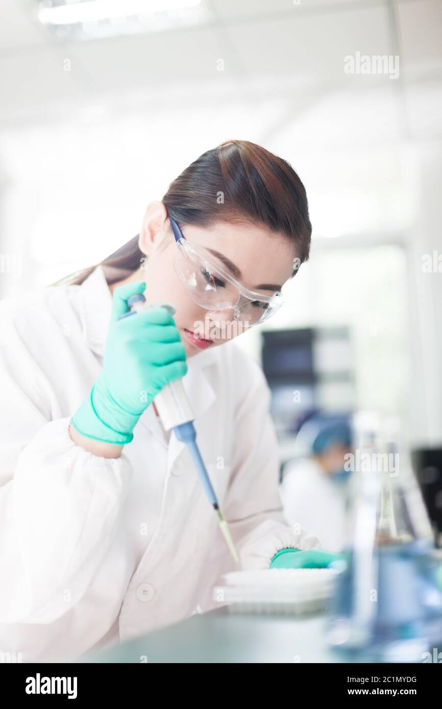 Mitarbeiter im Labor Stockfoto