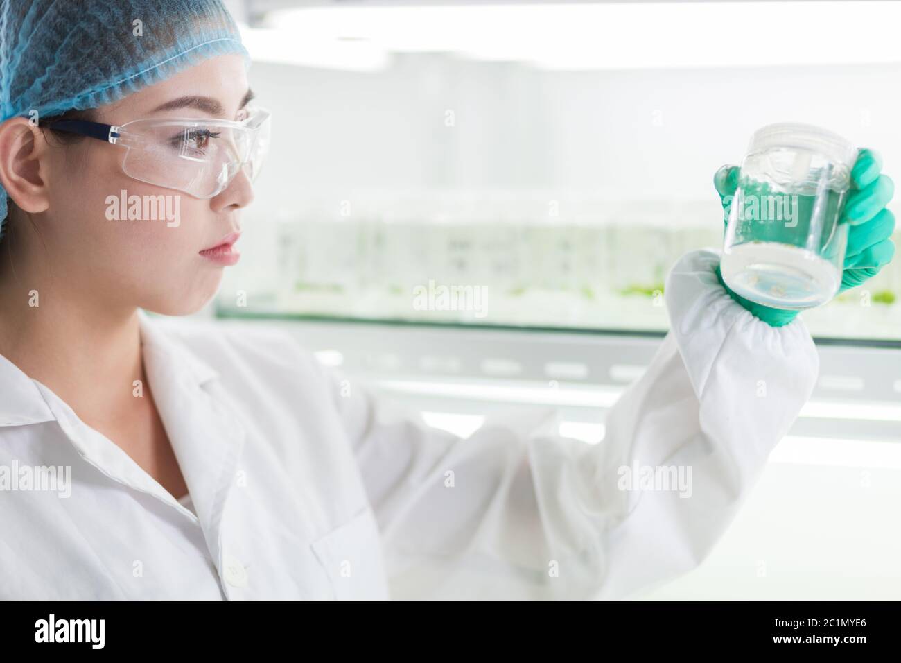 Mitarbeiter im Labor Stockfoto