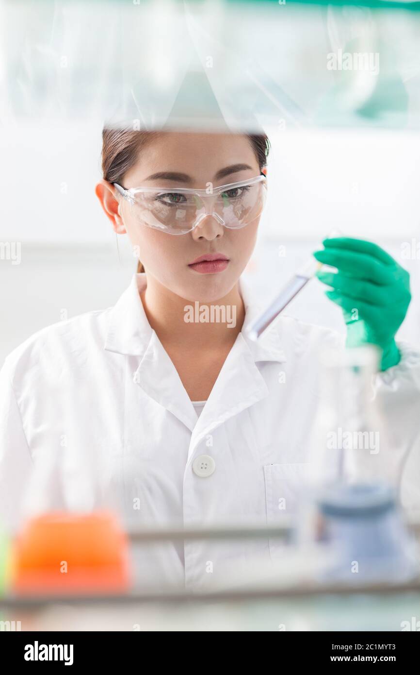Mitarbeiter im Labor Stockfoto