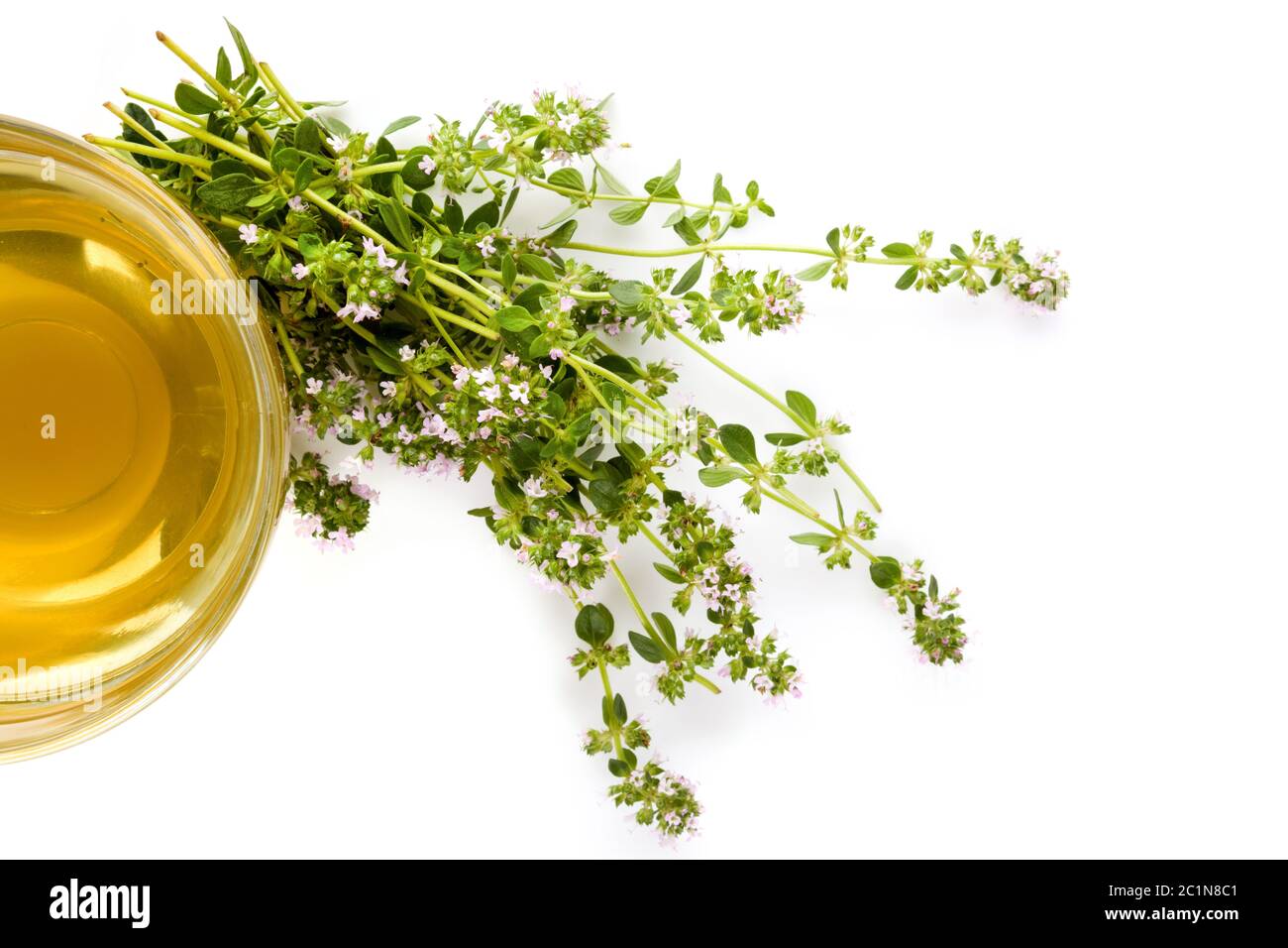 Wilder Thymian mit Kräutern und Tee. Stockfoto