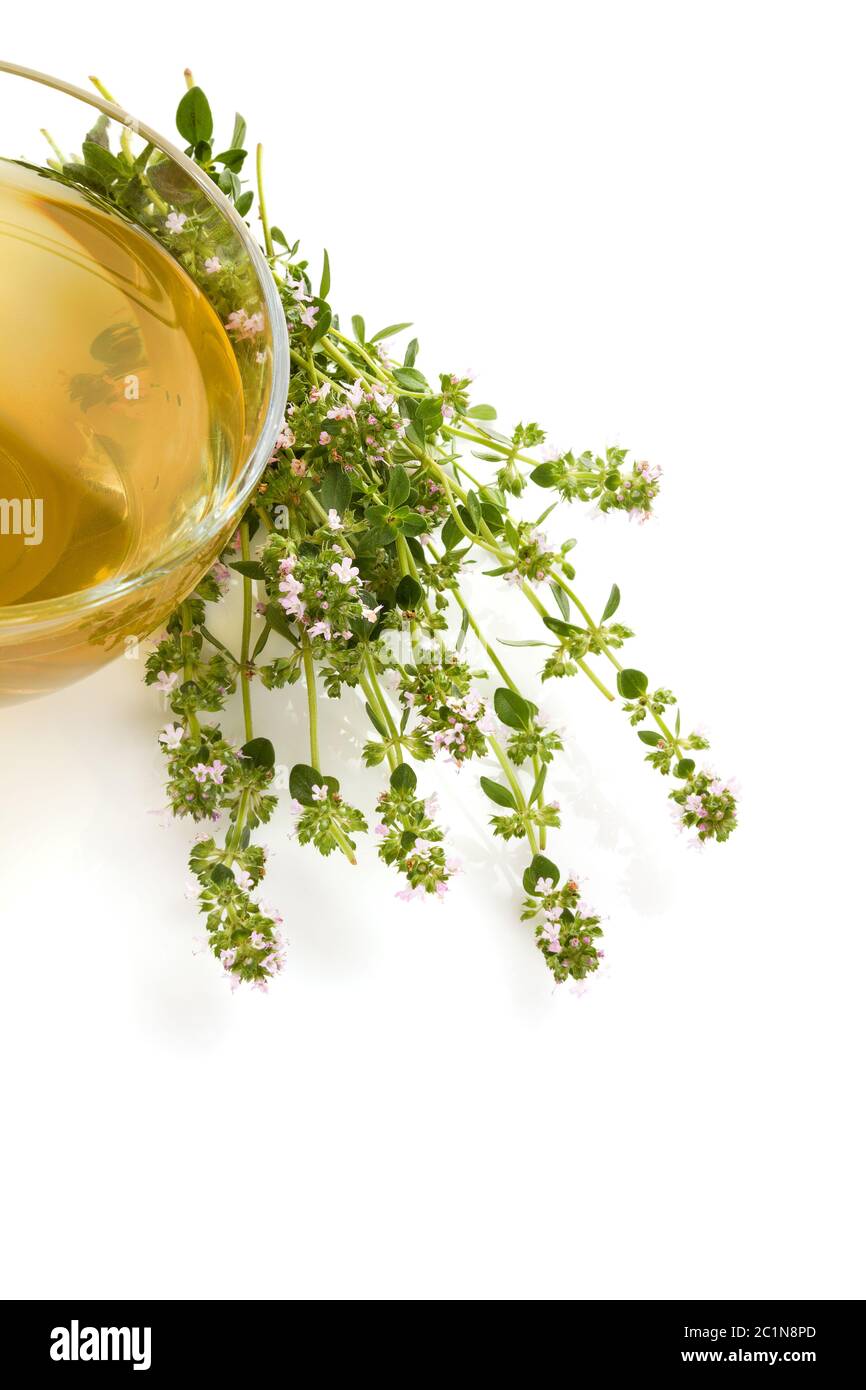 Wilder Thymian mit Kräutern und Tee. Stockfoto