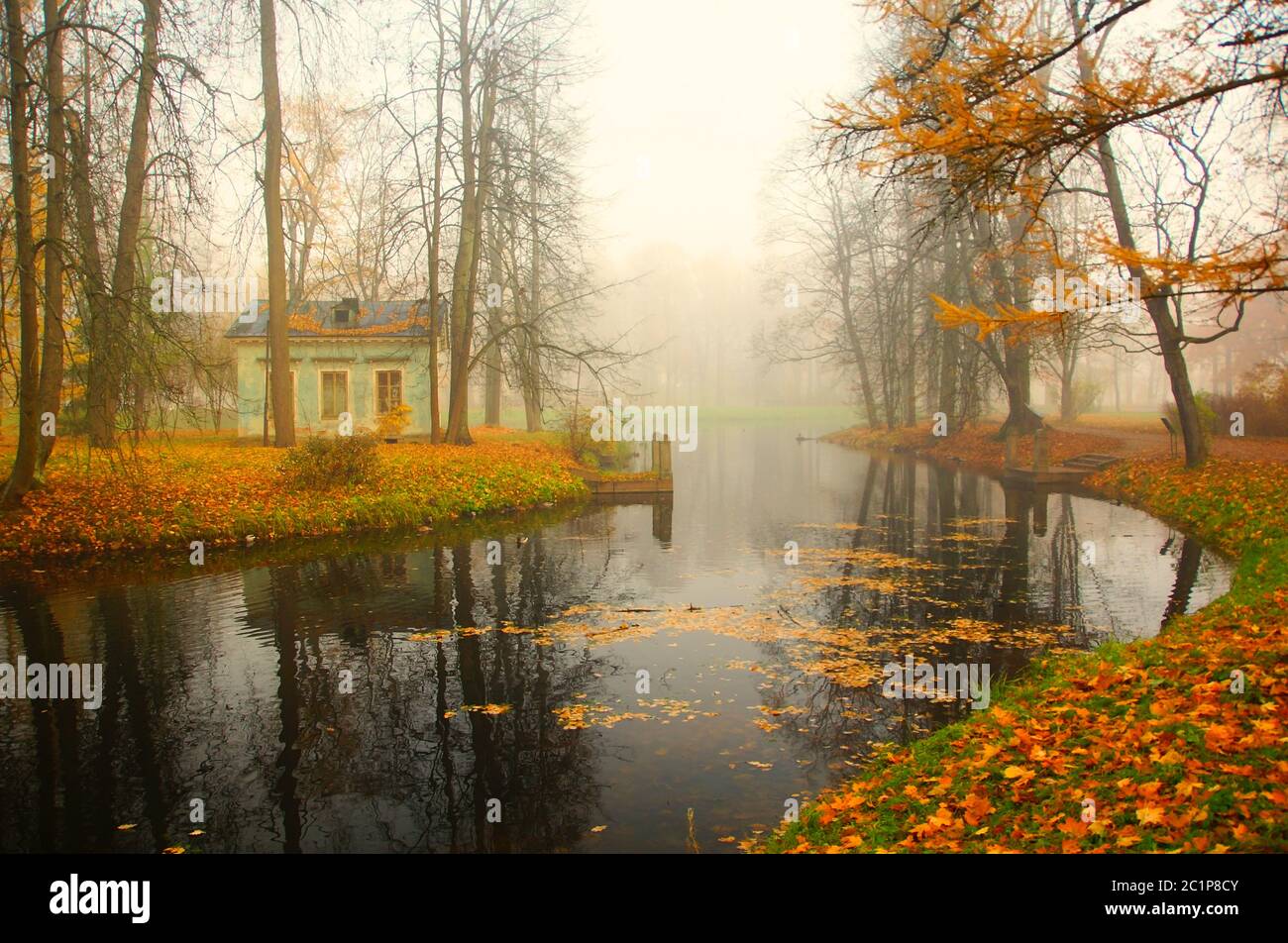 Ruhiger Herbstmorgen im Alexandrovsky Park in Tsarskoe Selo, Kinderteich Stockfoto