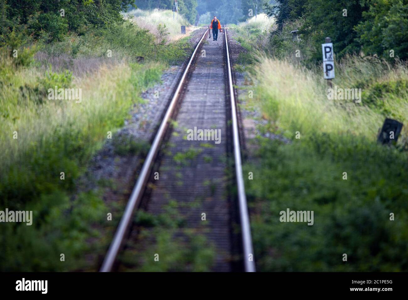 12. Juni 2020, Mecklenburg-Vorpommern, Karow: Ein Arbeiter geht auf der Gleise der Südbahn und entfernt Bäume und Äste, die zu nah an der Strecke sind. Die Ostdeutsche Eisenbahngesellschaft (ODEG) ist seit mehreren Wochen auf der Südbahnstrecke von Parchim nach Plau am See unterwegs. Die Betreiber der neuen Südbahnlinie RB19 hoffen auf steigende Passagierzahlen in der Hochsaison. Die Südbahn zwischen Malchow und Parchim wurde 2014 vom Staat eingestellt, weil zu wenig Nachfrage bestand. Dagegen gab es seit Jahren Proteste. Foto: Stockfoto
