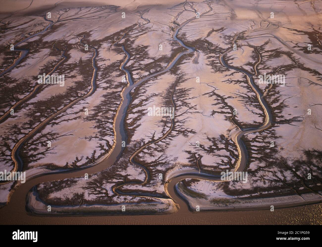 Biosphärenreservat Upper Gulf and Colorado Delta Mexiko / FEB komplizierte Zuflussmuster, die in die sandigen Salzebenen des Colorado River d geschnitten wurden Stockfoto