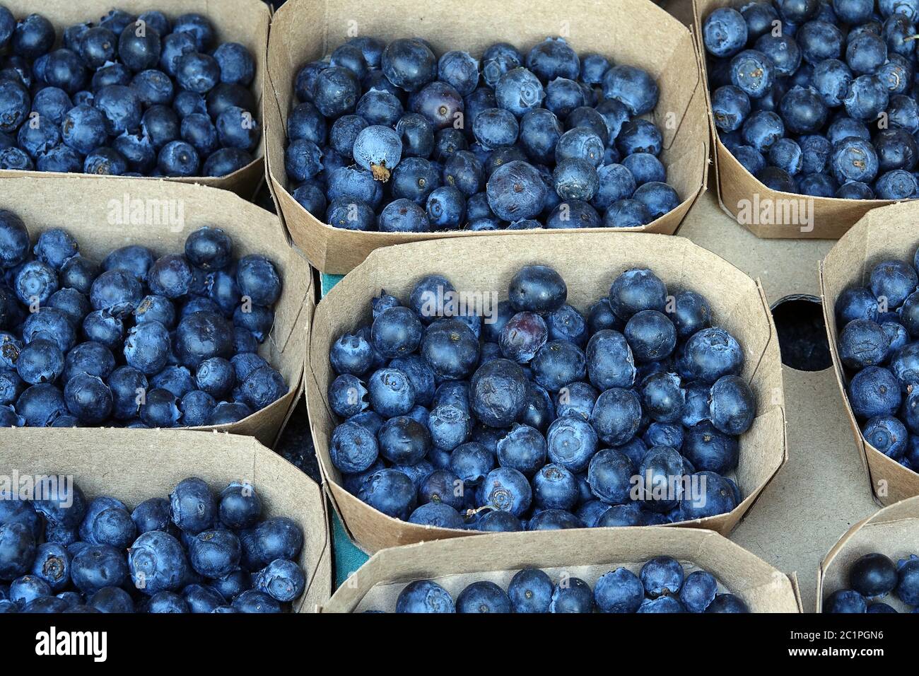 Schalen mit Heidelbeeren auf einem Bauernmarkt Stockfoto