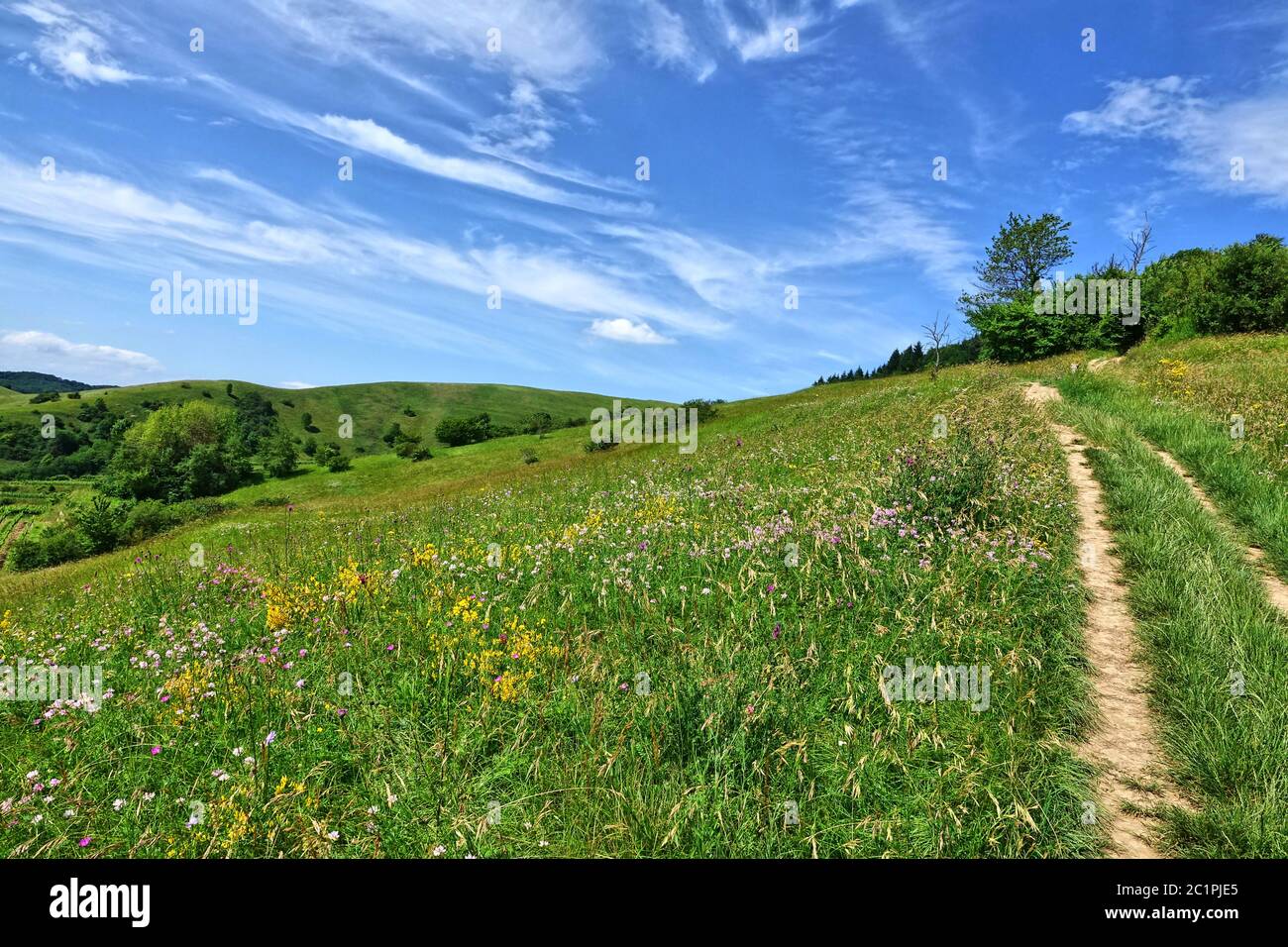 Am Haselschacher Buck im inneren Kaiserstuhl Stockfoto