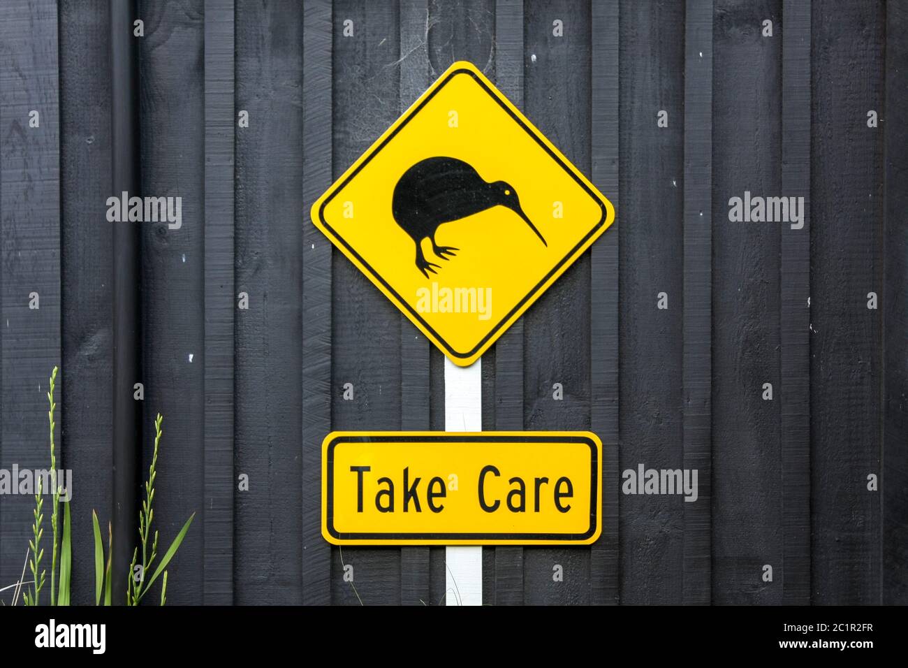 Kiwi-Schild Stockfoto