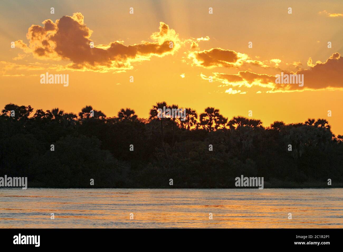 Sonnenuntergang über den Ufern des Zambezi-Flusses Stockfoto