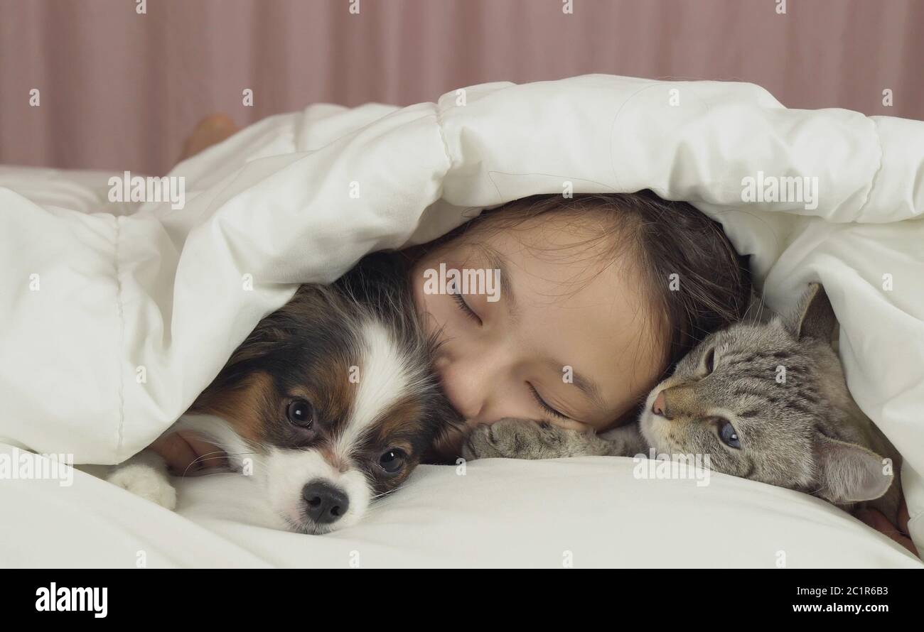 Schöne jugendlich Mädchen süß schlafen im Bett mit Hund und Katze Stockfoto