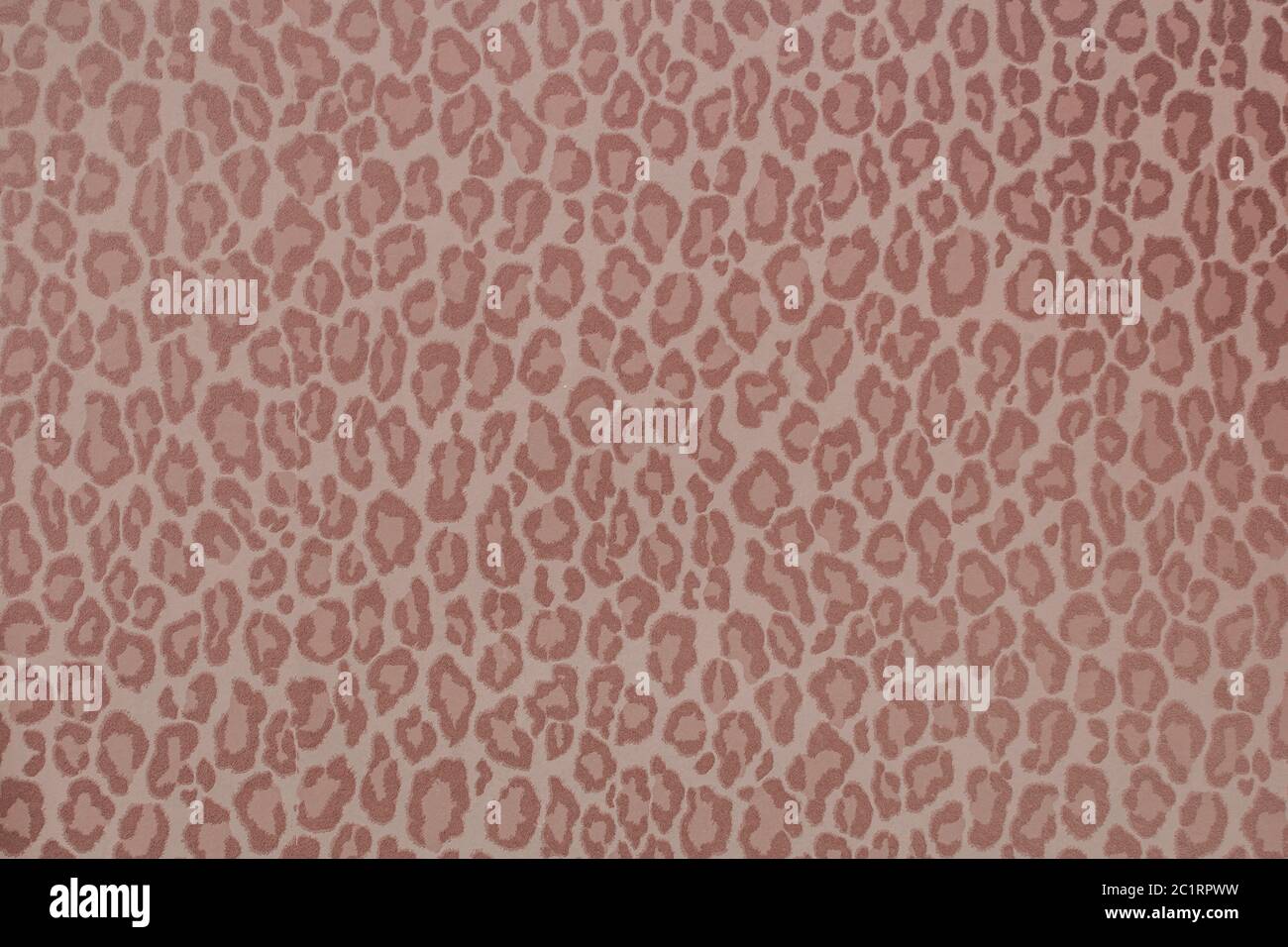 Leopard Wild animal Muster Hintergrund oder Textur, Tapeten Konzept bunte Filter Stockfoto