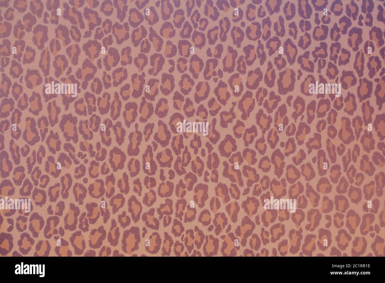 Leopard Wild animal Muster Hintergrund oder Textur, Tapeten Konzept bunte Lila Stockfoto
