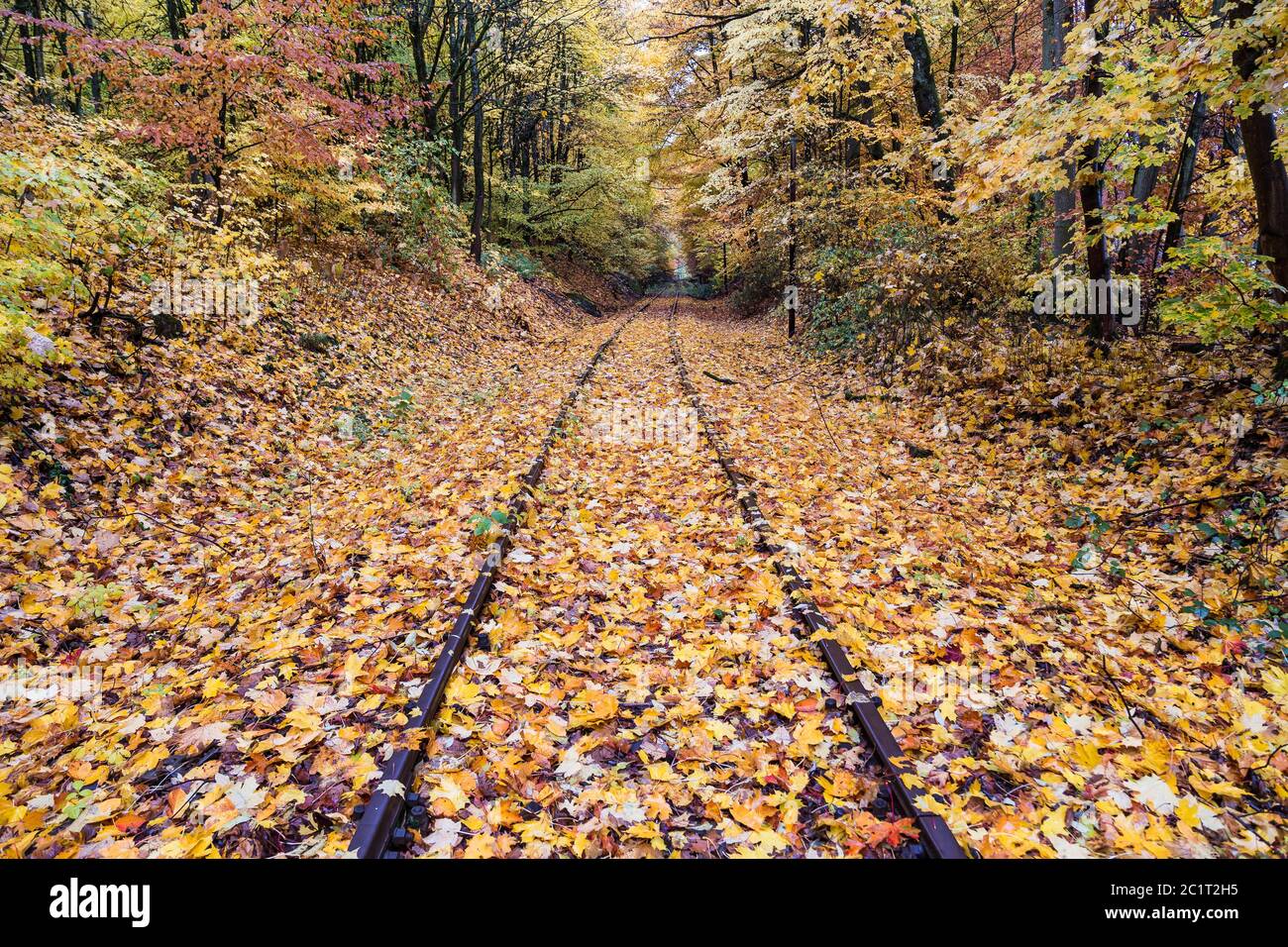 Alte und vergessene Bahngleise in einem bunten Herbstwald. Stockfoto