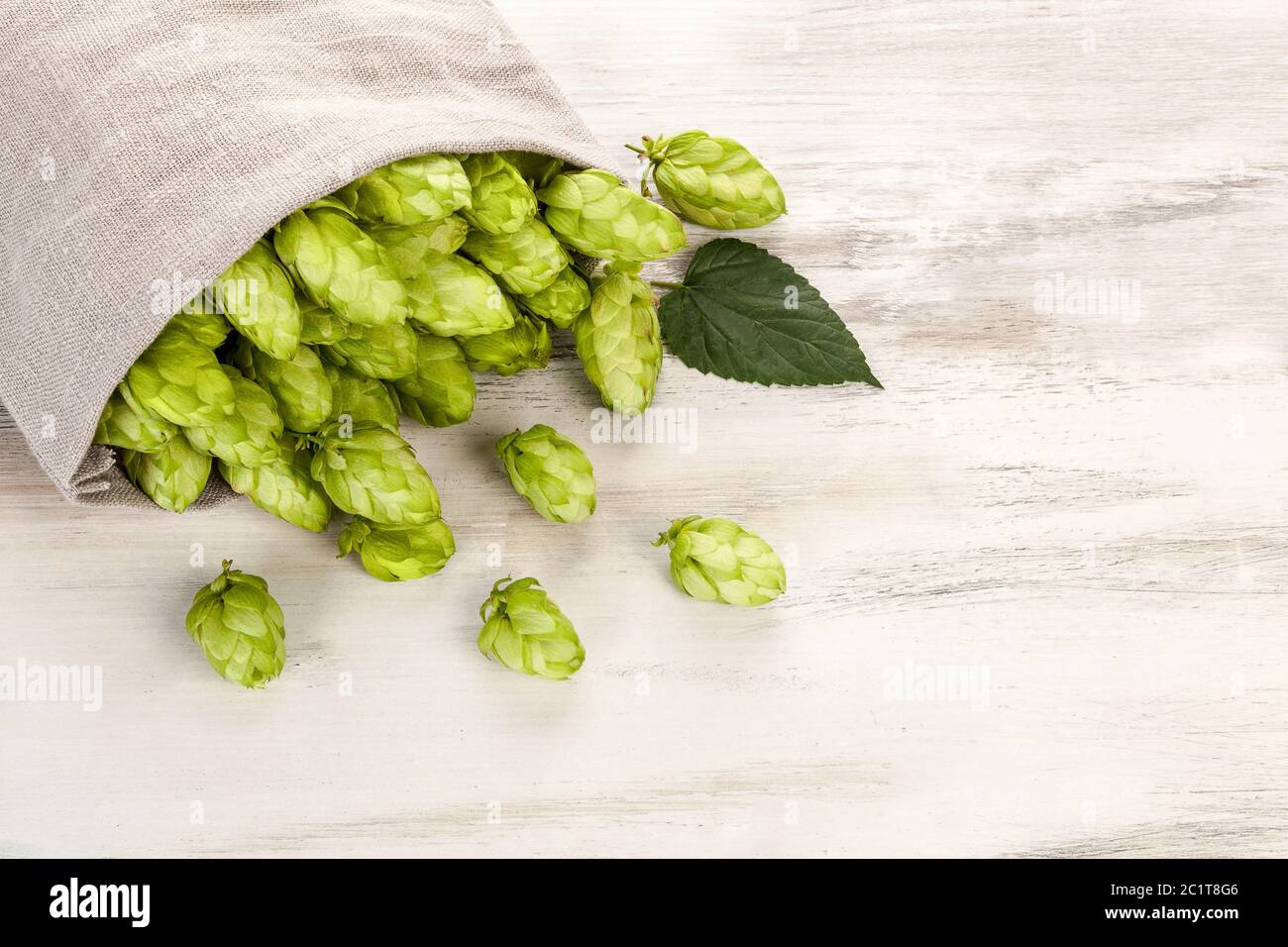 Frisches Grün hop Früchte in sackleinen Beutel auf Holztisch. Stockfoto