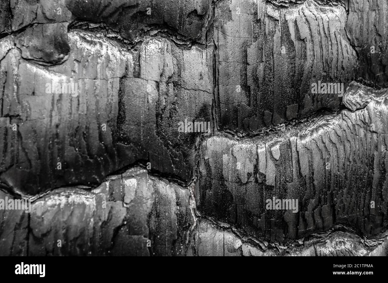 Verbranntes Holz Textur ein nah, Nahaufnahme Stockfoto