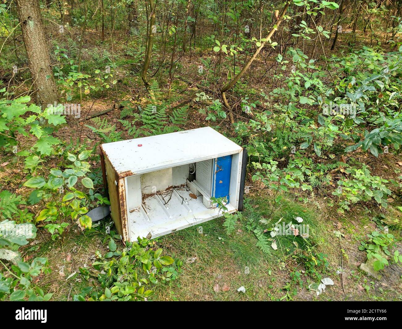 Alte kaputte Kühlschrank in den Wald in Polen geworfen. Illegale Müllentsorgung in der Natur. Stockfoto