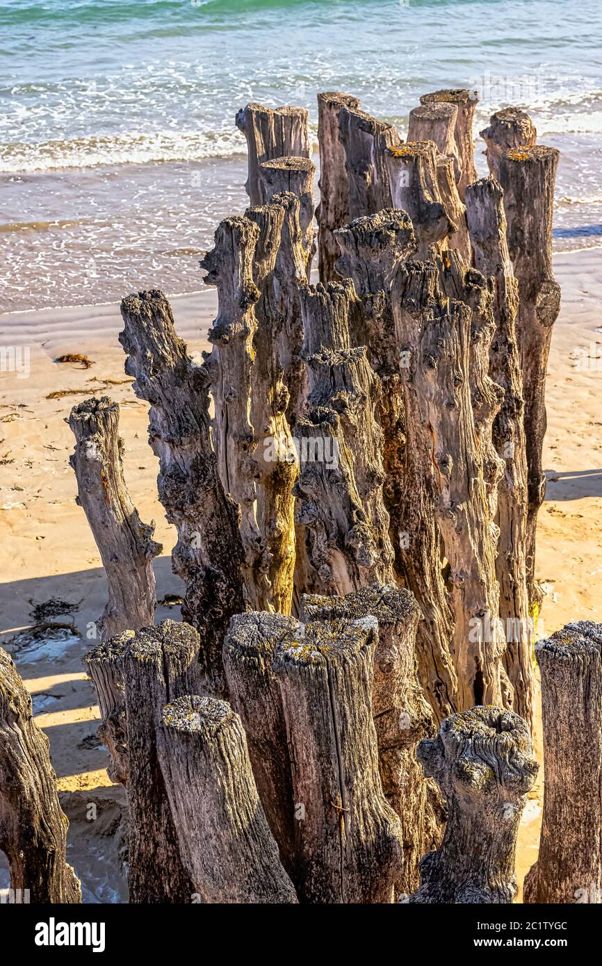 Holzstapel Wellenbrecher am Strand von Saint-Malo in der Bretagne in Frankreich Stockfoto