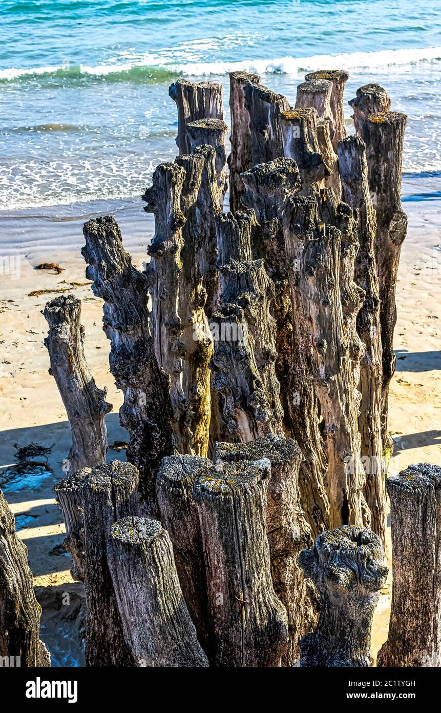 Holzstapel Wellenbrecher am Strand von Saint-Malo in der Bretagne in Frankreich Stockfoto