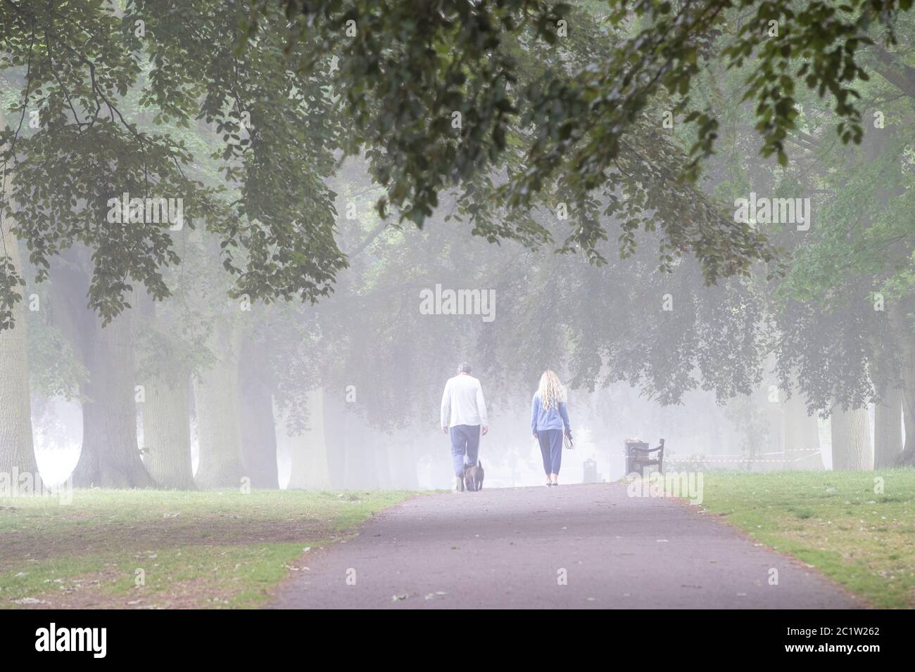 Wetter in Großbritannien, Northampton, 16. Juni 2020. Morgennebel in Abington Park nach einem heißen, feuchten Tag gestern und nächtlichen Duschen hebt sich der Nebel langsam und ein weiterer feuchter Tag wird prognostiziert. Kredit: Keith J Smith/Alamy Live Nachrichten Stockfoto